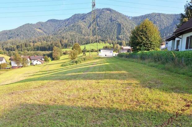 Grundstück kaufen in 8662 Mitterdorf (Bild 4)