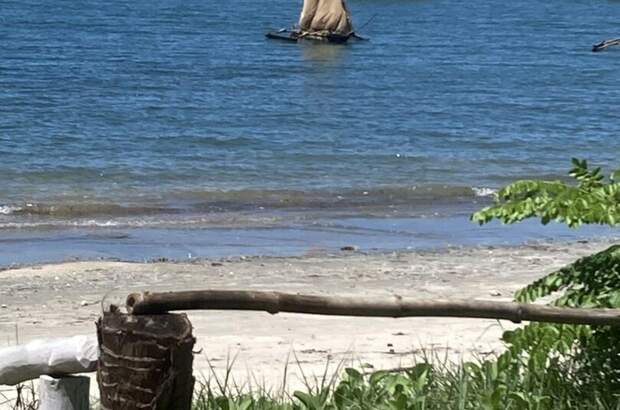 Haus kaufen (Bild 2)