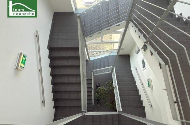 Büro / Praxis mieten in 2326 Maria (Bild 4)