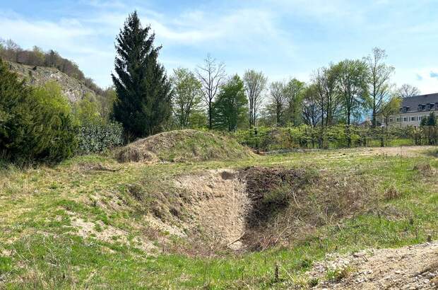 Grundstück kaufen in 5081 Anif (Bild 5)