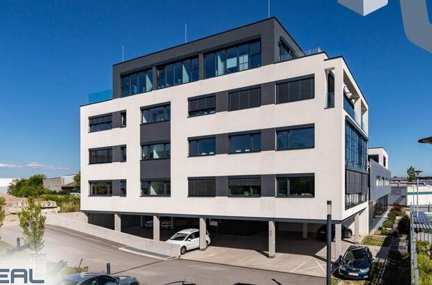 Gewerbeobjekt mieten in 4061 Pasching (Bild 5)