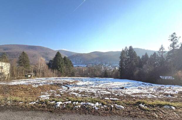 Grundstück kaufen in 3011 Purkersdorf (Bild 2)