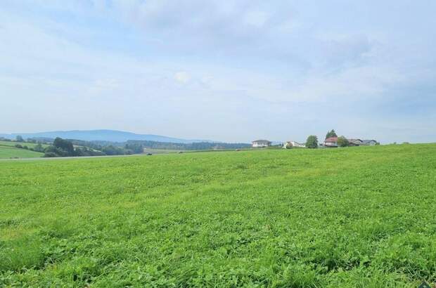 Gewerbeobjekt mieten in 4870 Vöcklamarkt (Bild 3)