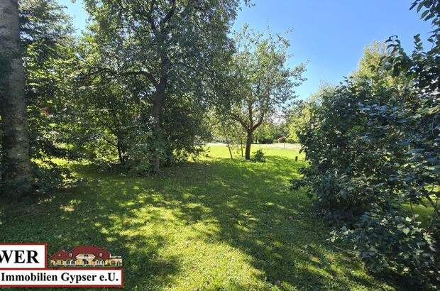 Grundstück kaufen in 5221 Lochen (Bild 4)