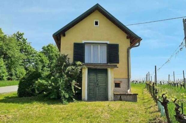 Immobilie kaufen in 7474 Eisenberg (Bild 1)