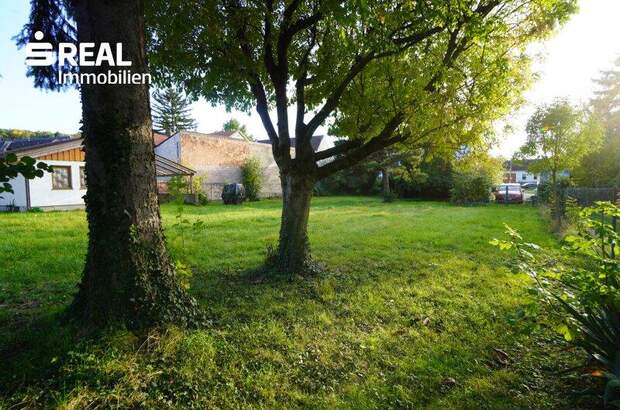 Grundstück kaufen in 2112 Würnitz (Bild 2)