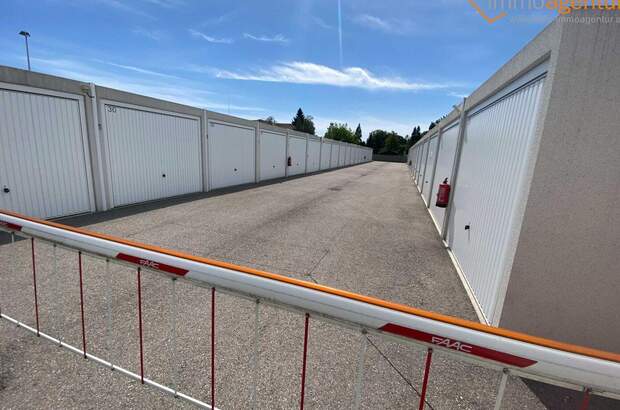 Immobilie kaufen in 4600 Wels (Bild 5)