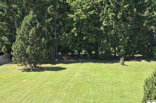 Haus kaufen in 2062 Seefeld (Bild 3)