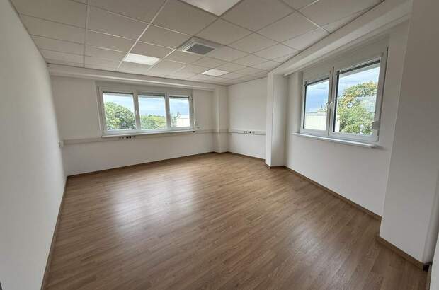 Büro / Praxis mieten in 2544 Leobersdorf (Bild 5)