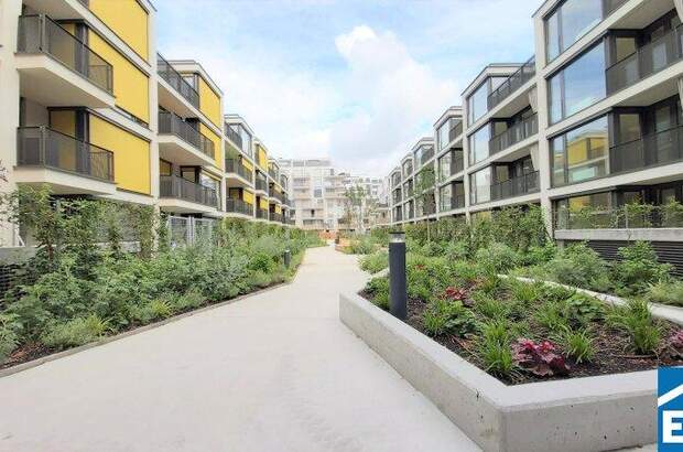 Terrassenwohnung mieten in 1230 Wien (Bild 1)