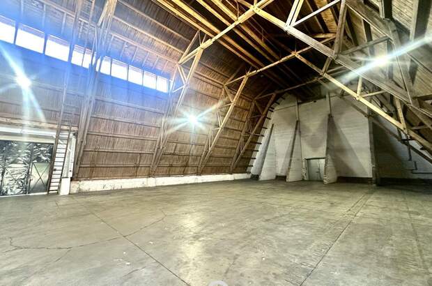 Gewerbeobjekt mieten in 4470 Enns (Bild 3)