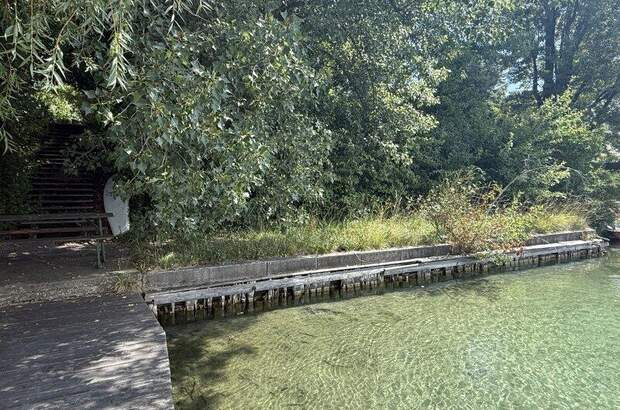 Haus kaufen in 2491 Neufeld (Bild 4)