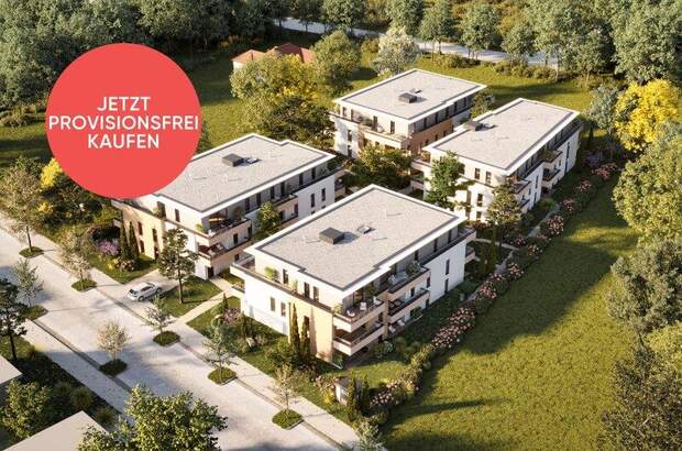 Terrassenwohnung kaufen in 2700 Wr. Neustadt (Bild 3)