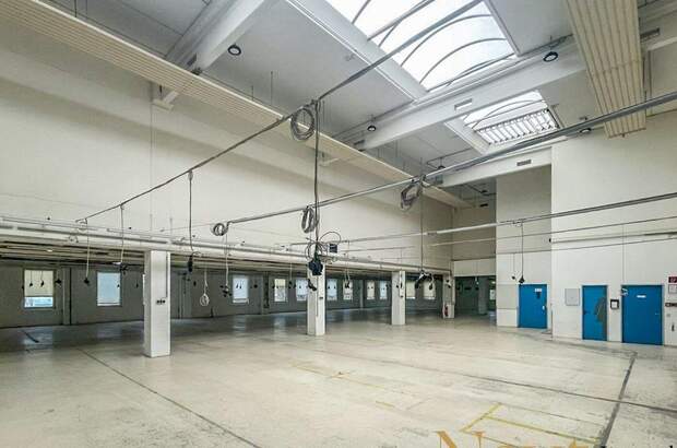Gewerbeobjekt mieten in 4052 Ansfelden (Bild 4)