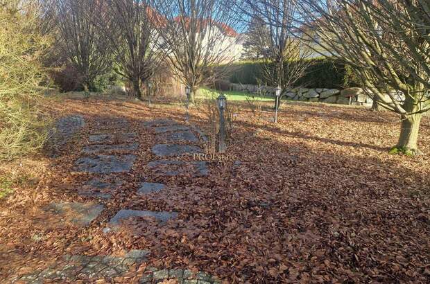 Grundstück kaufen in 4624 Pennewang (Bild 1)