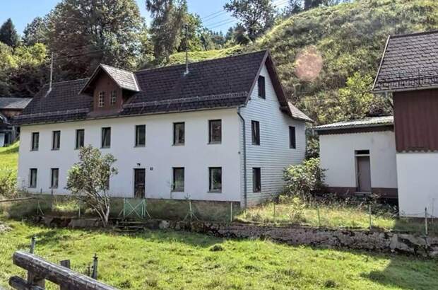 Haus kaufen in 4460 Losenstein (Bild 1)