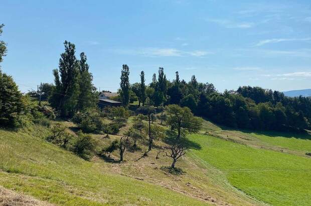 Gewerbeobjekt kaufen in 8462 Leutschach (Bild 2)