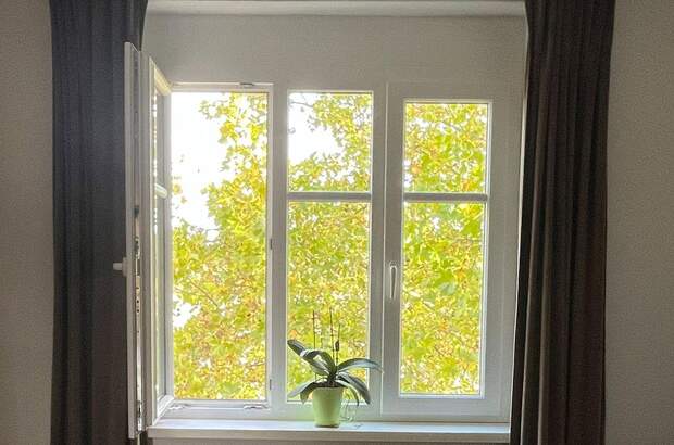 Terrassenwohnung kaufen in 3430 Tulln (Bild 4)