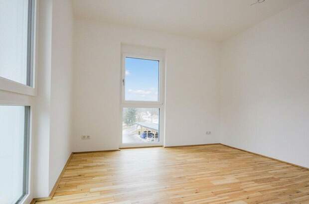 Gewerbeobjekt kaufen in 2680 Steinhaus (Bild 3)