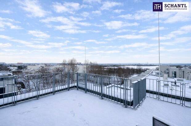 Terrassenwohnung kaufen in 1220 Wien (Bild 2)