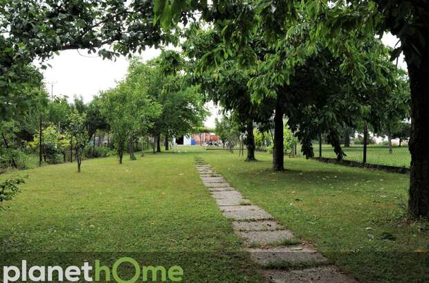 Haus mit Garten kaufen in 7053 Hornstein