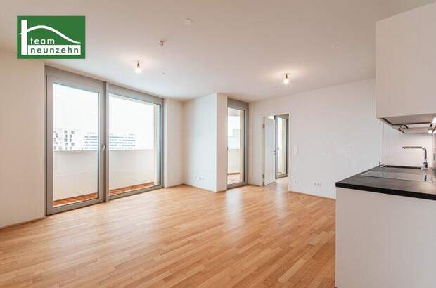 Terrassenwohnung mieten in 1100 Wien (Bild 1)