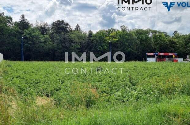 Gewerbeobjekt mieten in 3331 Kematen (Bild 3)