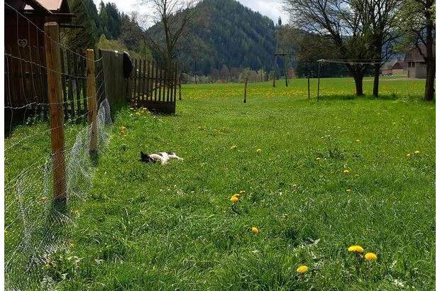 Bauernhaus kaufen in 8763 Möderbrugg (Bild 3)