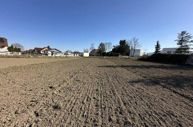 Grundstück kaufen in 7201 Neudörfl (Bild 3)