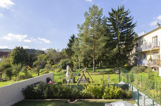 Gewerbeobjekt kaufen in 2344 Maria Enzersdorf (Bild 5)