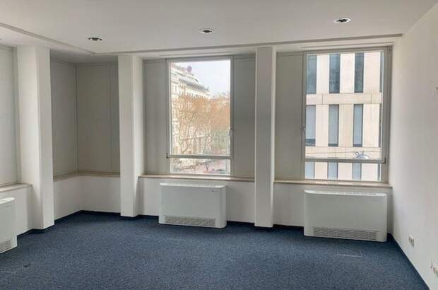 Gewerbeobjekt mieten in 1090 Wien (Bild 3)
