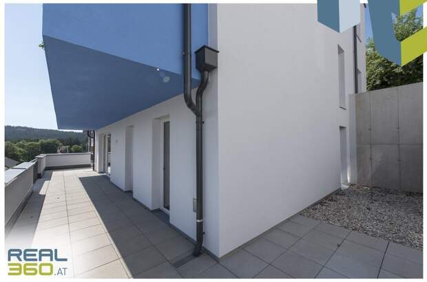 Terrassenwohnung kaufen in 4202 Kirchschlag (Bild 4)