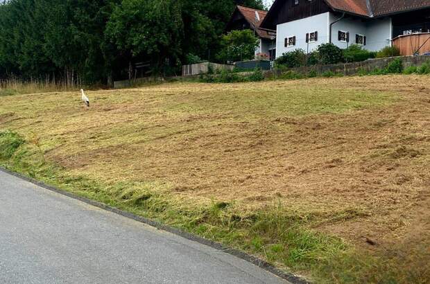 Grundstück kaufen in 8151 Berndorf (Bild 2)
