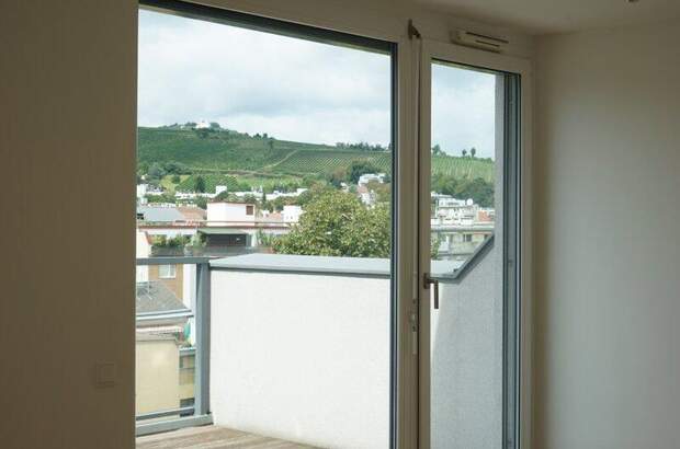 Terrassenwohnung mieten in 1190 Wien (Bild 4)