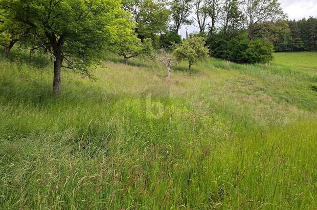 Grundstück kaufen in 9560 Feldkirchen (Bild 1)