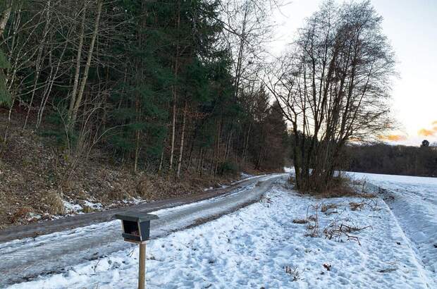 Grundstück kaufen in 8410 Weitendorf (Bild 3)