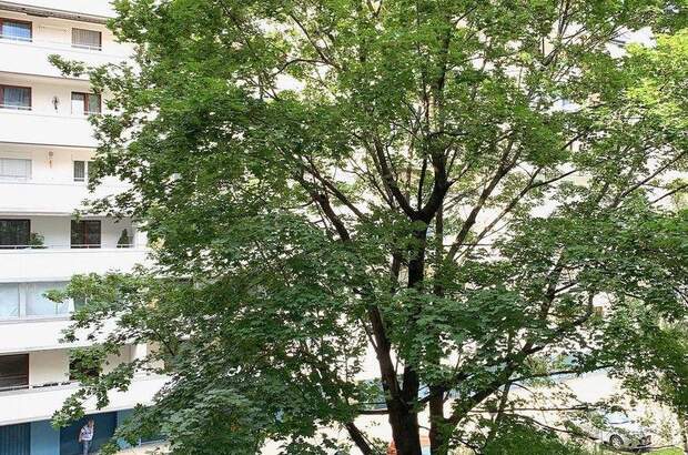 Terrassenwohnung mieten in 1200 Wien (Bild 5)