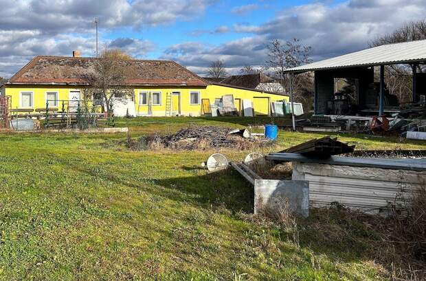 Haus mit Garten kaufen in 2054 Kleinhaugsdorf (Bild 4)