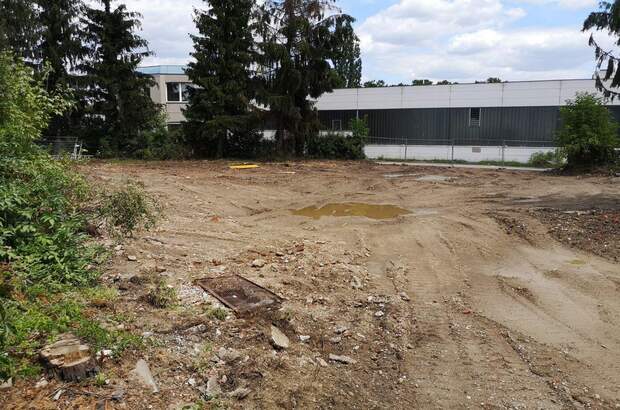 Gewerbeobjekt kaufen in 8020 Graz (Bild 3)