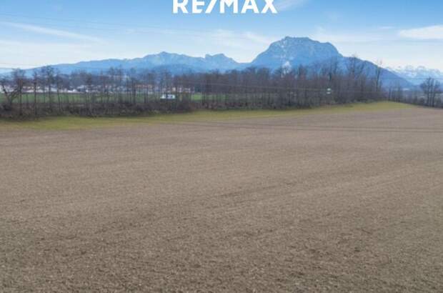 Grundstück kaufen in 4664 Laakirchen (Bild 1)