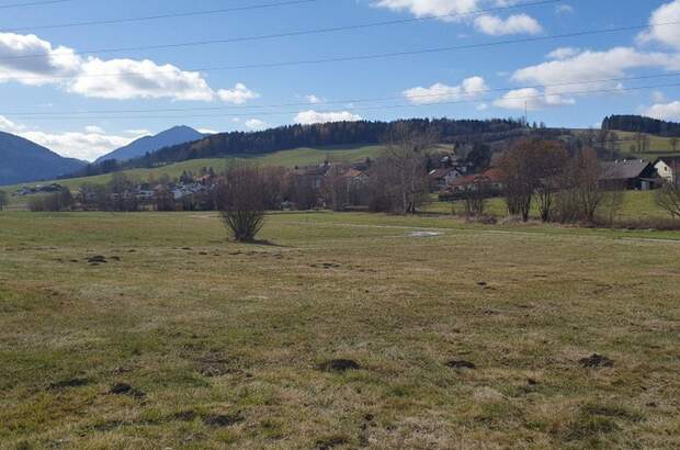 Grundstück kaufen in 8793 Trofaiach (Bild 4)