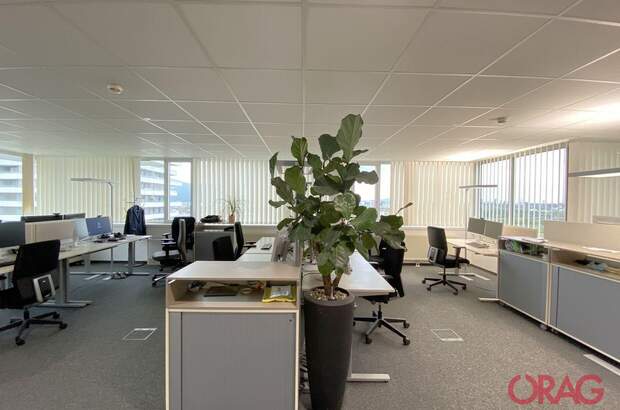 Gewerbeobjekt mieten in 4040 Linz (Bild 1)