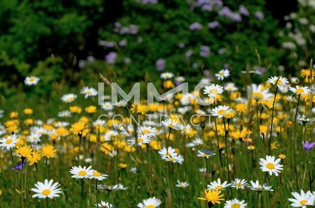 Eigentumswohnung in 4020 Linz