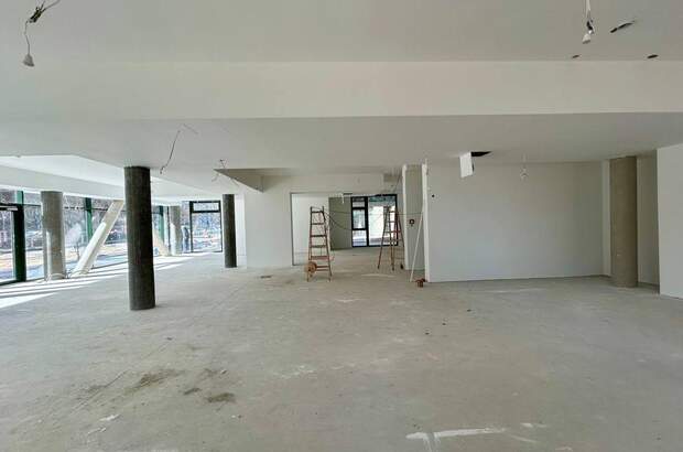 Gewerbeobjekt mieten in 1220 Wien (Bild 3)