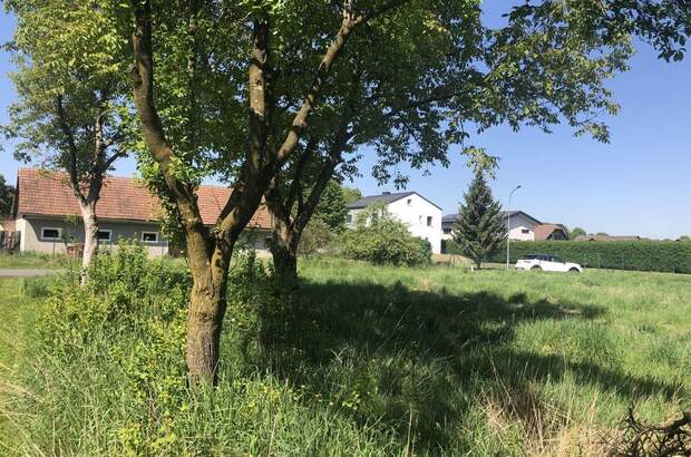 Grundstück kaufen in 8472 Obervogau (Bild 4)