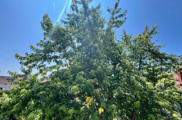 Eigentumswohnung in 8020 Graz (Bild 1)