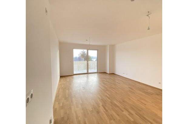 Terrassenwohnung mieten in 1230 Wien (Bild 1)