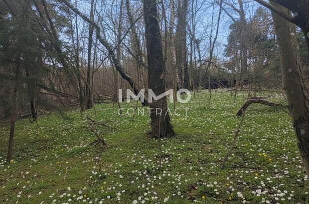 Grundstück kaufen in 3021 Pressbaum