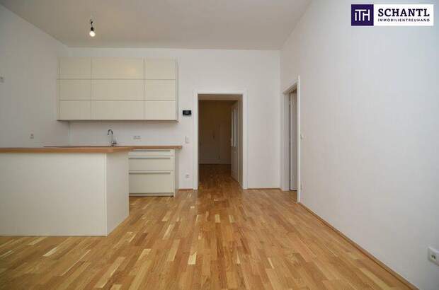 Wohnung kaufen in 1060 Wien (Bild 1)