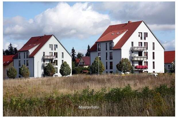 Mehrfamilienhaus kaufen in 4050 Traun (Bild 1)